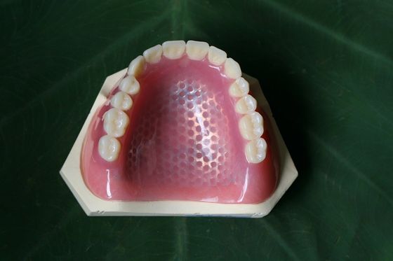ISO13485 Răng giả thông thường Trên acrylic một phần