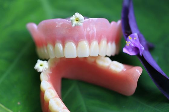 Răng giả một phần acrylic BPS thoải mái ổn định