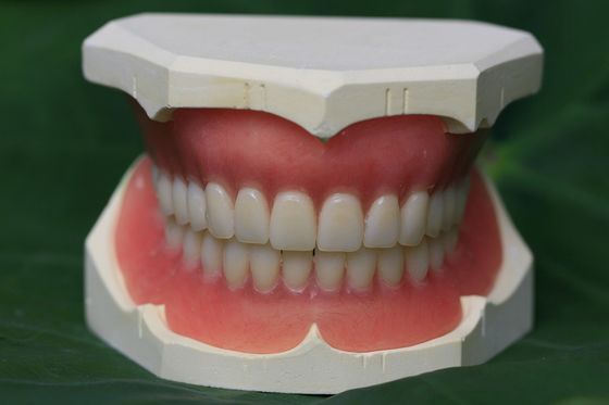 Làm răng giả ngay lập tức ISO13485 Răng giả một phần acrylic