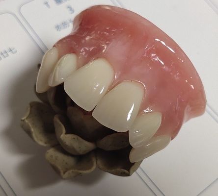 ISO13485 Răng giả thông thường Trên acrylic một phần