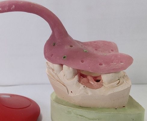 Khay hiển thị răng giả tùy chỉnh