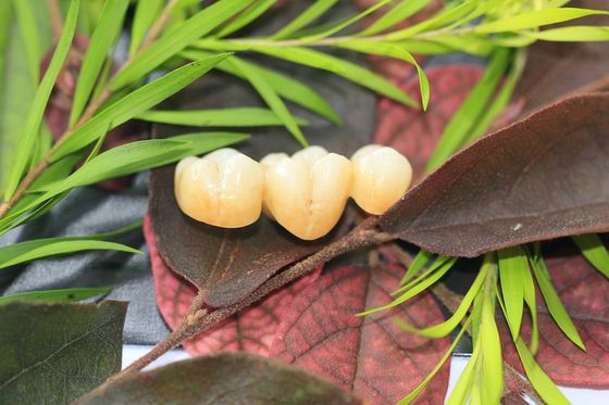 Phòng thí nghiệm nha khoa Zirconium Oxide Sứ Zirconia Nha khoa Bọc răng bằng sứ